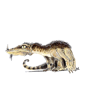Basilisk Basilisk