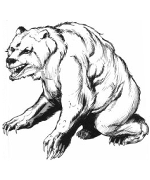 Bear, Ice Bear, Ice