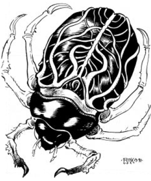 Beetle, Agony Beetle, Agony