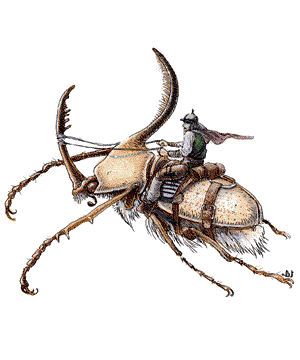 Beetle, Giant Beetle, Giant