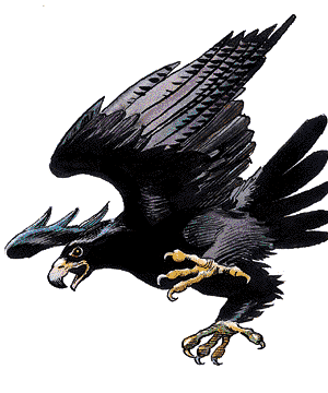 Bird Bird