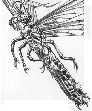 Buzzjewel Buzzjewel