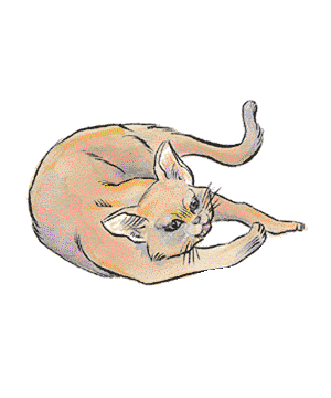 Cat, Small Cat, Small