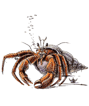 Crustacean, Giant Crustacean, Giant