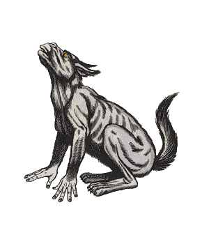 Dog, Moon Dog, Moon