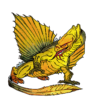 Dragon, Metallic, Brass Dragon, Metallic, Brass