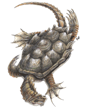 Dragon Turtle Dragon Turtle