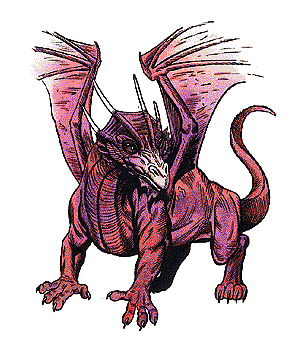 Dragonet, Fire Drake Dragonet, Fire Drake
