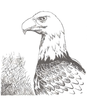 Eagle Eagle