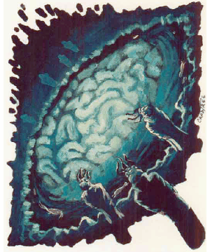 Elder Brain Elder Brain