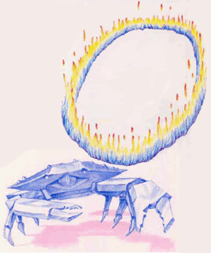 Elemental of Law, Fire/Water Elemental of Law, Fire/Water
