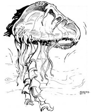 Floater Floater