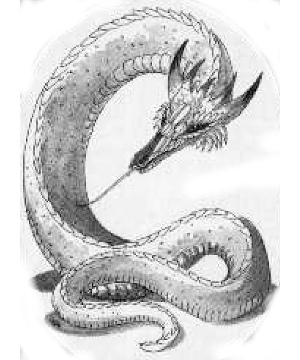 Garigal Garigal