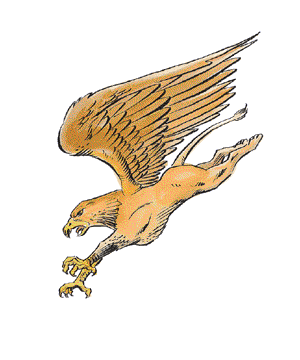 Griffon Griffon