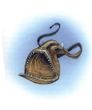 Gulper Gulper