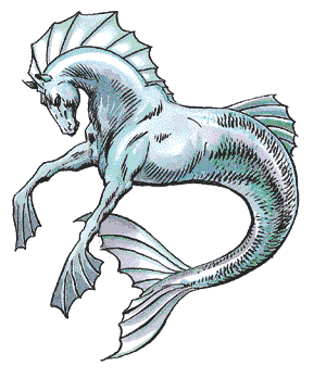 Hippocampus Hippocampus