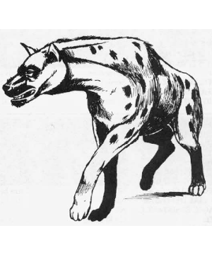 Hyena Hyena
