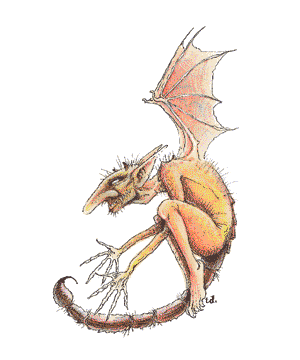 Imp Imp