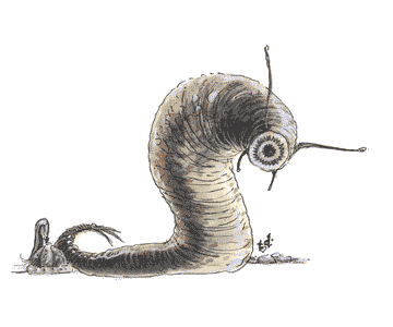 Leech Leech