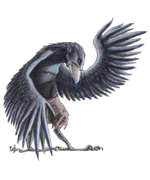 Lycanthrope, Wereraven Lycanthrope, Wereraven