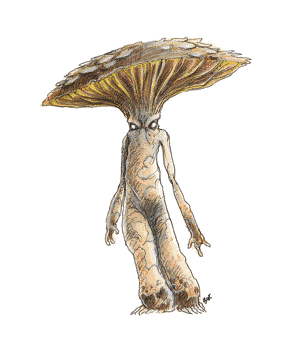 Myconid Myconid