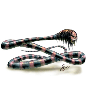 Naga Naga