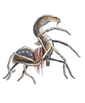 Neogi Neogi