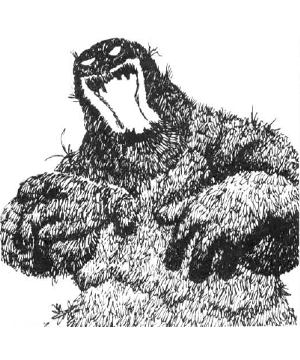 Obliviax Obliviax