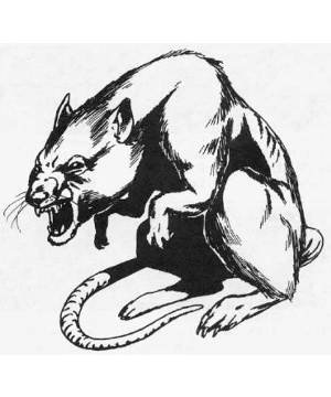Rat Rat