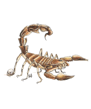 Scorpion Scorpion