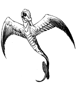 Serpent, Winged Serpent, Winged
