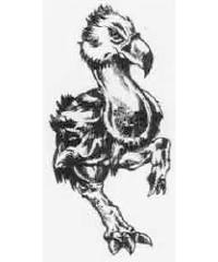 Axebeak Axebeak