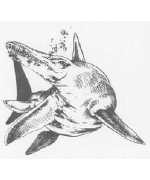 Temnodontosaurus Temnodontosaurus