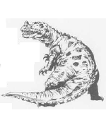 Ceratosaurus Ceratosaurus
