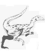 Composognathus Composognathus