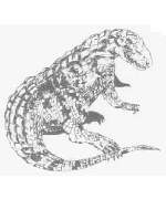 Euparkeria Euparkeria