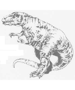 Gorgosaurus Gorgosaurus