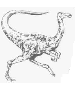 Struthiomimus Struthiomimus