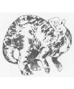 Trachodon Trachodon