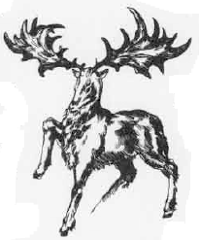 Irish Deer Irish Deer