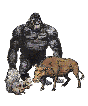 Mammal Mammal