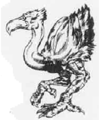 Phororhacos Phororhacos
