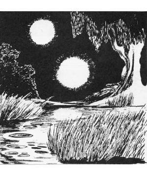 Will O’Wisp Will O’Wisp