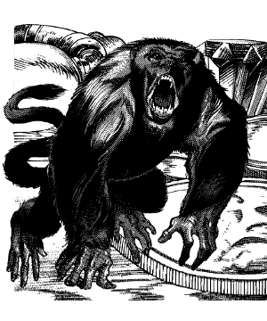 Spider, Monkey Spider, Monkey