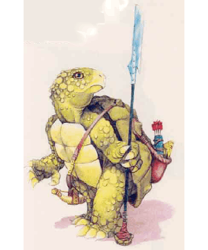 Tortle Tortle