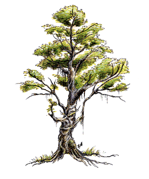Treant Treant