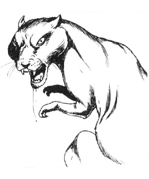 Weasel Weasel
