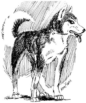 Wolvern Wolvern