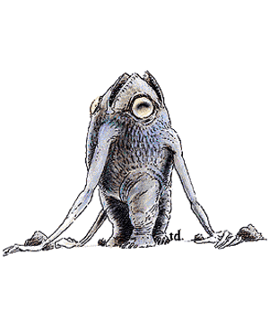 Xorn Xorn