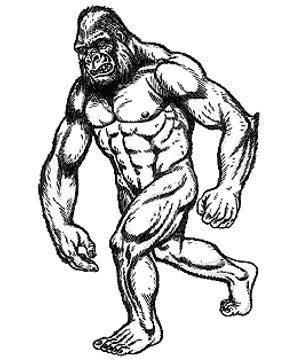 Yeti Yeti
